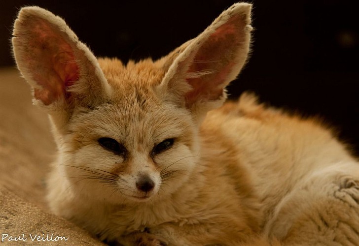 Le Refuge de l'Arche