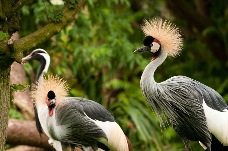 Le Refuge de l'Arche