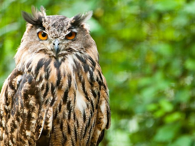 Le Refuge de l'Arche