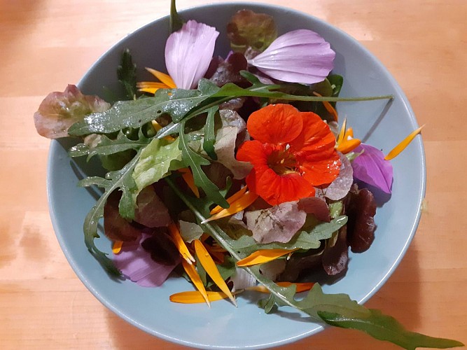 Chambres d'hôtes - chemin de résilience