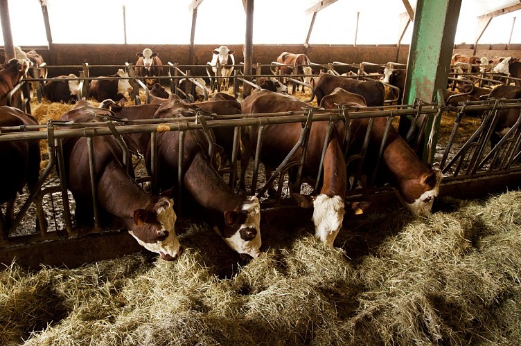 GAEC Le Plâne - magasin