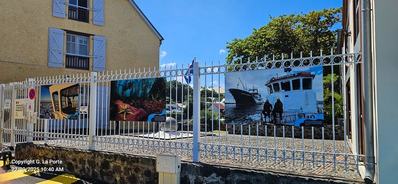 Image du poi