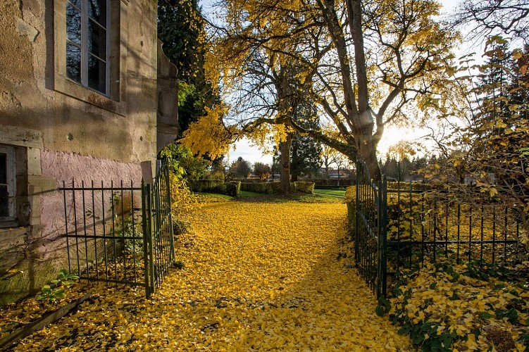 Parc et jardins du Château de Gerbéviller - visite libre