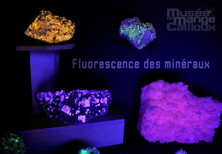 Musée du Mange-Cailloux