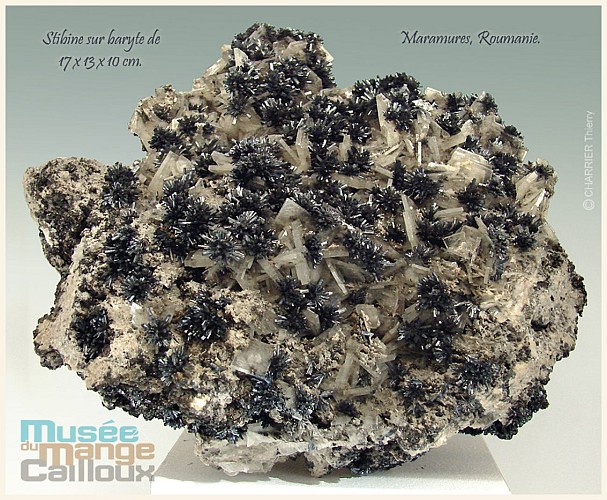 Musée du Mange-Cailloux