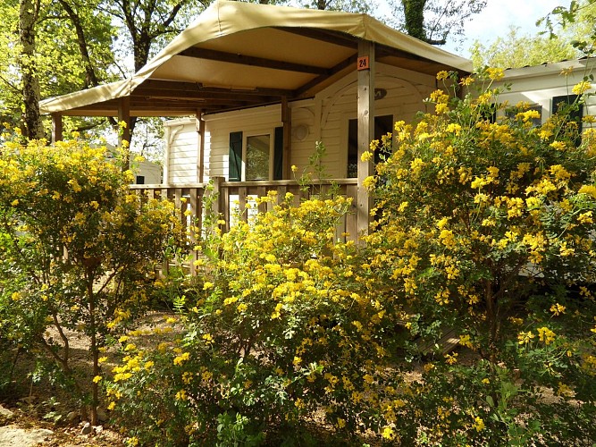 La Vignasse Campsite