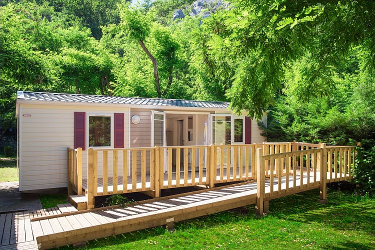 Les Actinidias Campsite