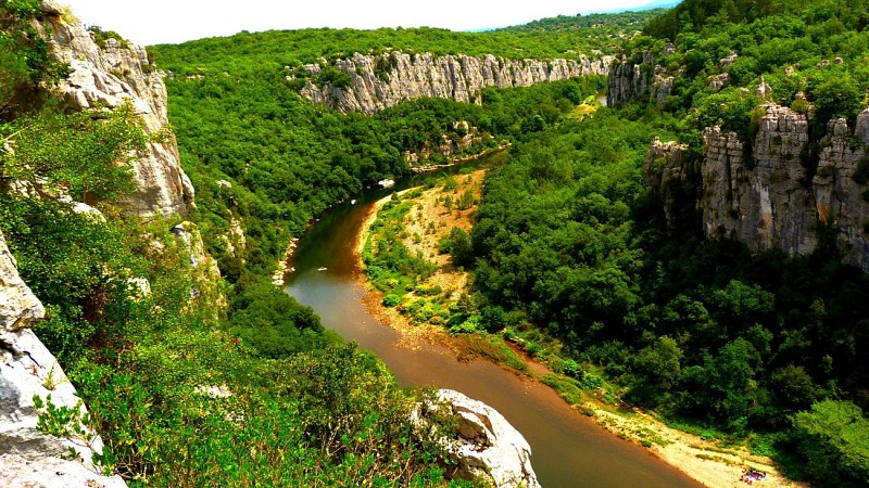 Les Actinidias Campsite