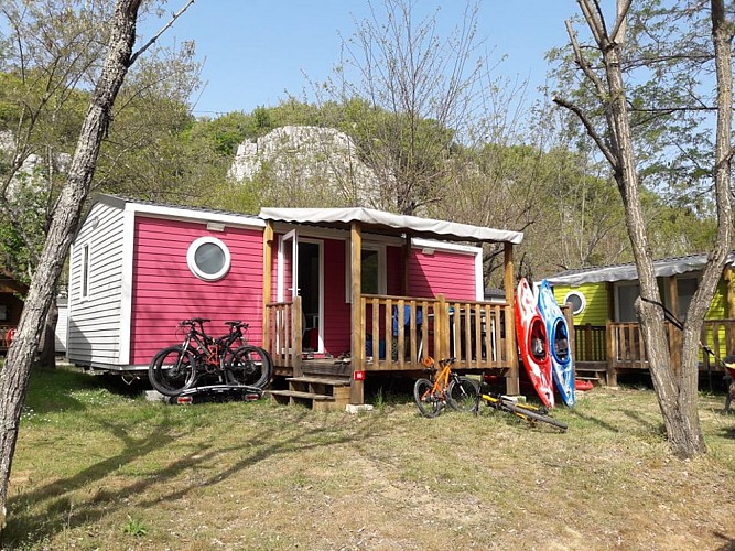 Les Actinidias Campsite