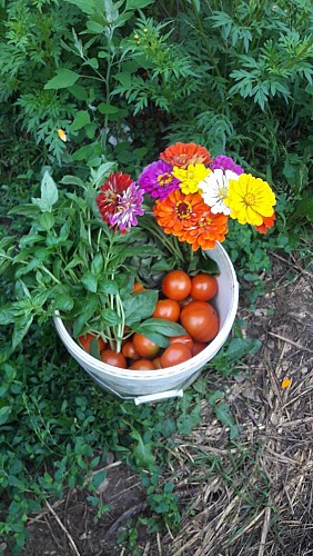 Les Amandiers Farm Campsite