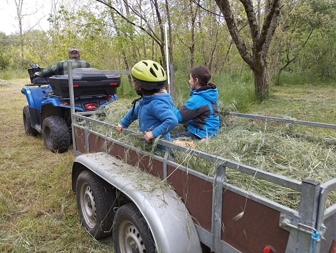 Camping rural les Amandiers