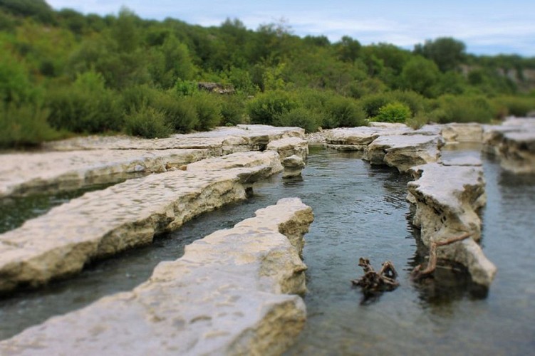 Camping Les Blaches - emplacements