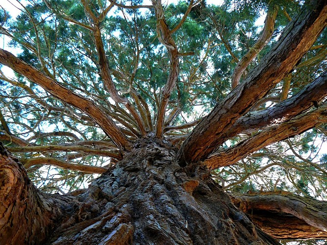 Le Jardin de la Perrine