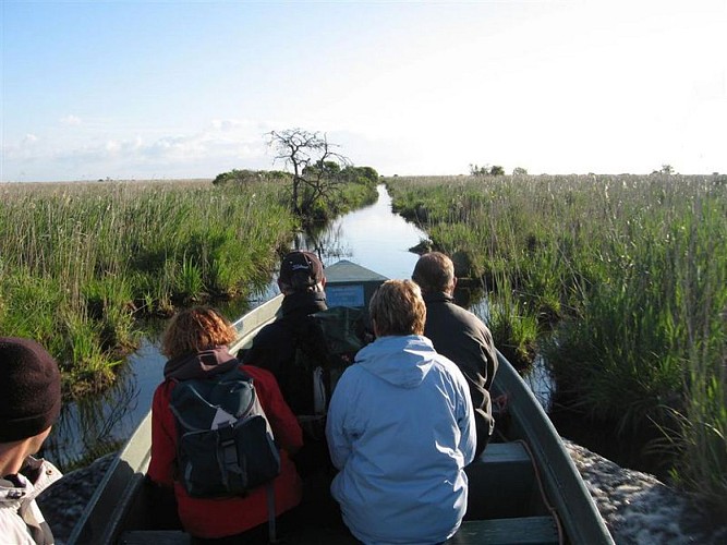 FERME ACTUELLEMENT - LA FAUNE BRIÉRONNE