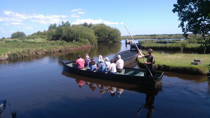 FERME ACTUELLEMENT - LA FAUNE BRIÉRONNE