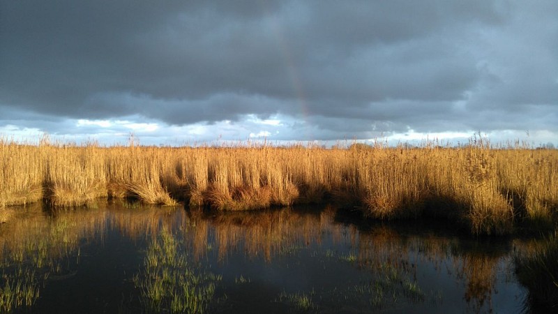 FERME ACTUELLEMENT - LA FAUNE BRIÉRONNE