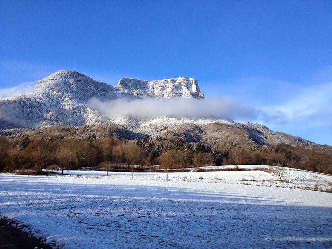 Auberge Au Pas de L'Alpette
