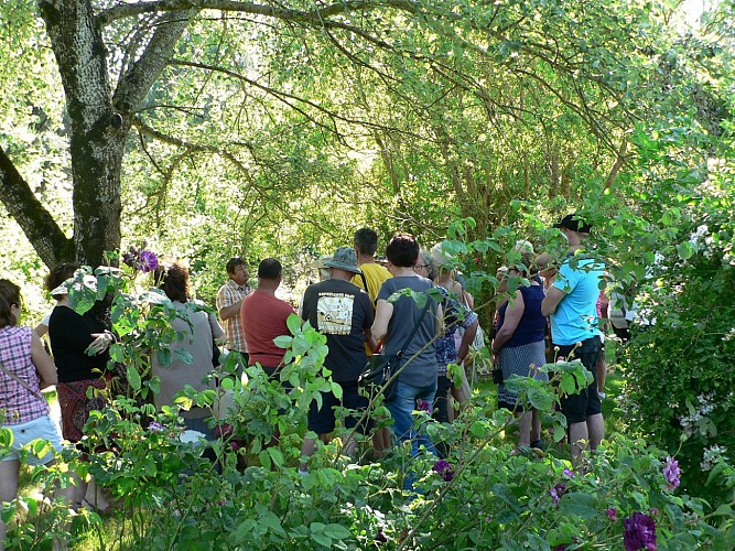 LA ROSERAIE DE VENDEE