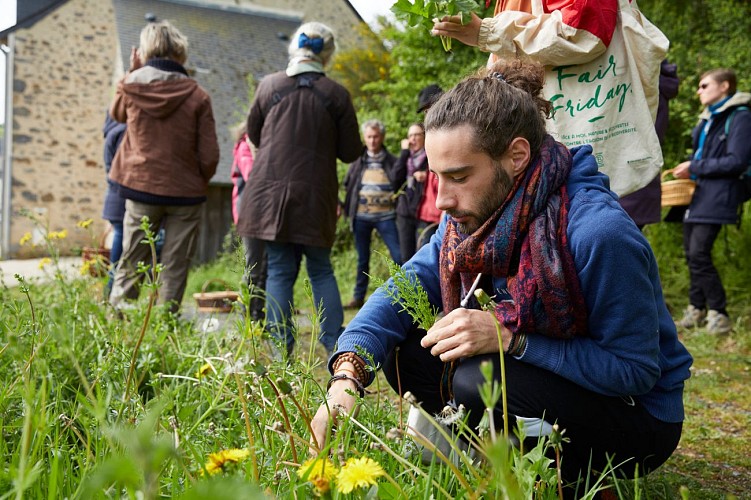 LE JARDIN MÉDICINAL  DE L'ERMITAGE