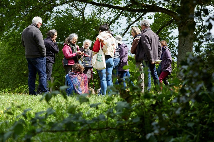 LE JARDIN MÉDICINAL DE L'ERMITAGE