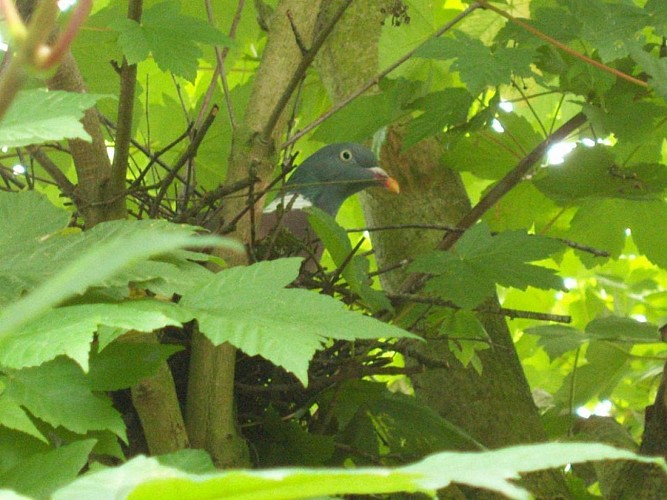 LE PETIT AUVAIS, JUSQU'À 6 PERSONNES