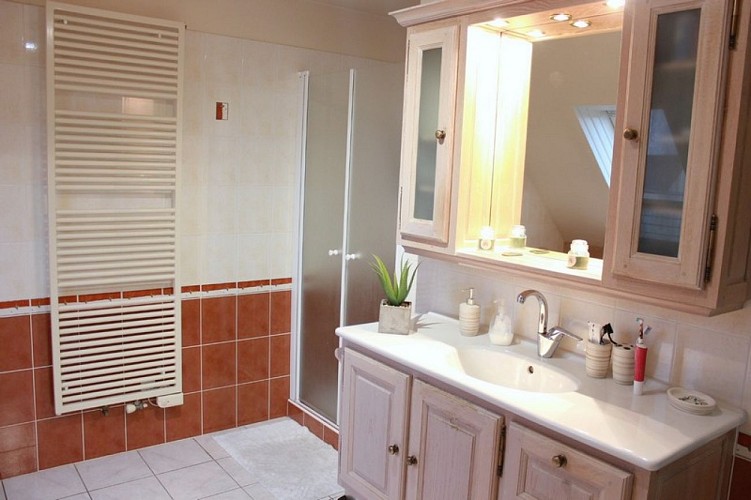 gite gouville sur mer ribaud sylvain maison leomane (12)