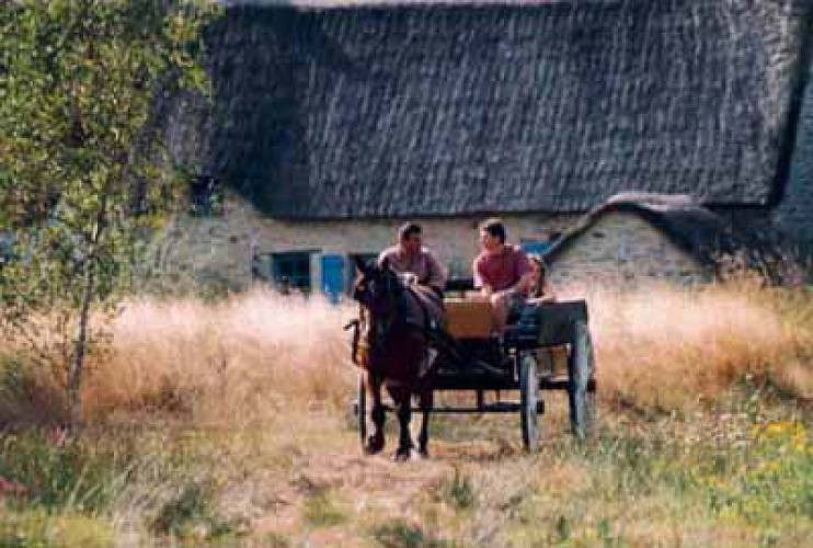 FERME ACTUELLEMENT - LES CALÈCHES BRIÉRONNES