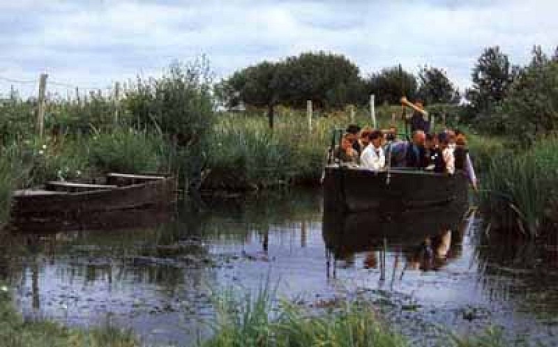 Les Calèches Briéronnes