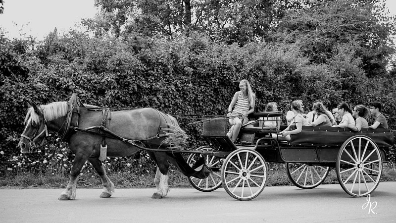 Les Calèches Briéronnes