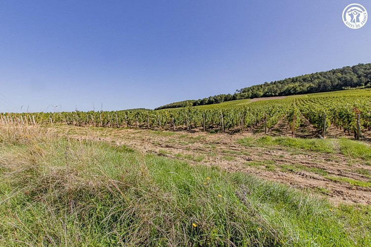 l’Echappée Bourguignonne