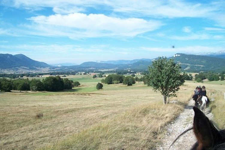 Stage d'équitation avec Les Écuries du Col de l'Arc