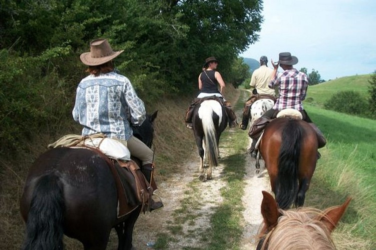 Stage d'équitation avec Les Écuries du Col de l'Arc