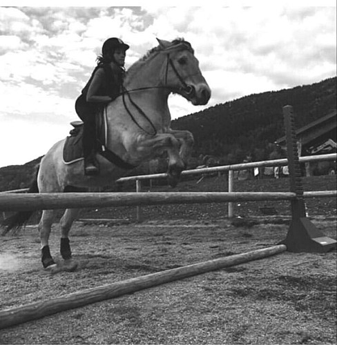 Stage d'équitation avec Les Écuries du Col de l'Arc