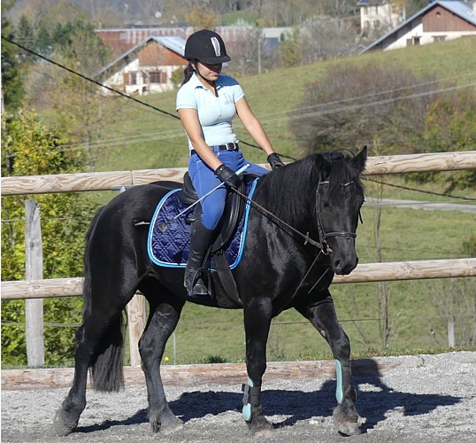 Stage d'équitation avec Les Écuries du Col de l'Arc