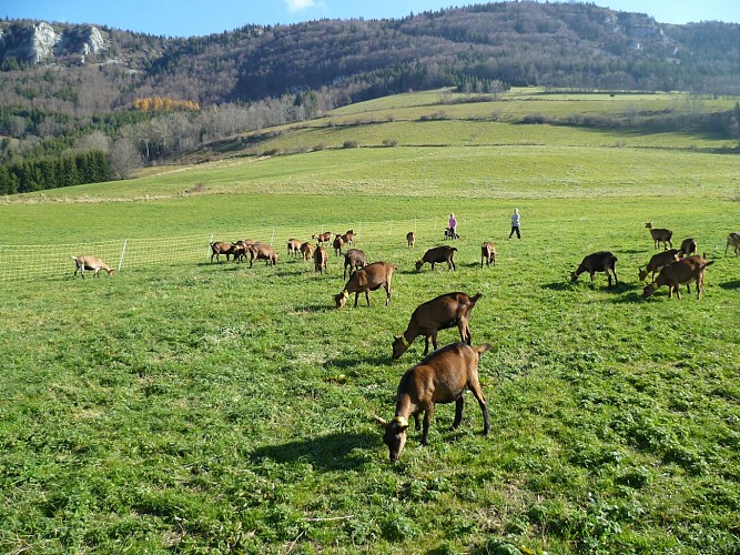 Ferme du Pic Saint Michel
