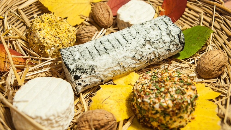 Ferme du Pic Saint Michel