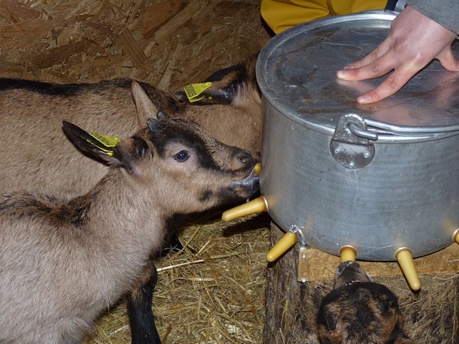 Ferme du Pic Saint Michel