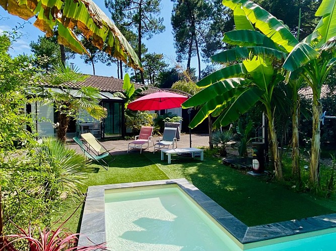 Villa paradis exotique_trottet_capbreton_19