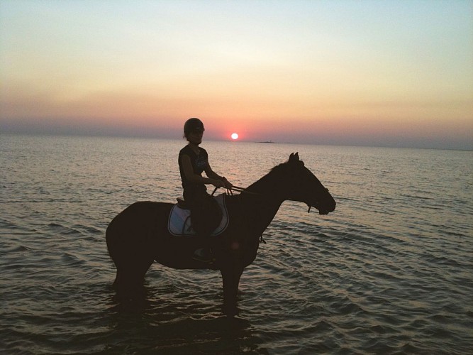 CENTRE EQUESTRE PONEY-CLUB DE PORNIC