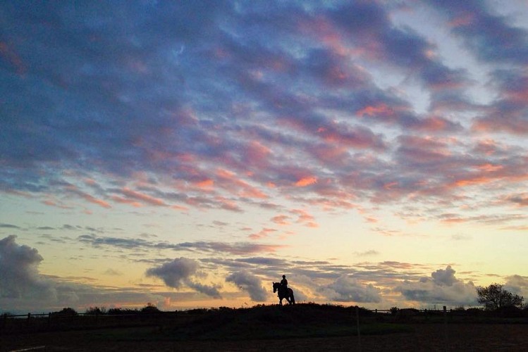 CENTRE EQUESTRE PONEY-CLUB DE PORNIC