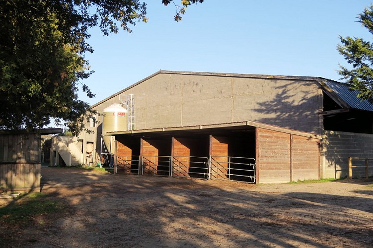 CENTRE EQUESTRE PONEY-CLUB DE PORNIC