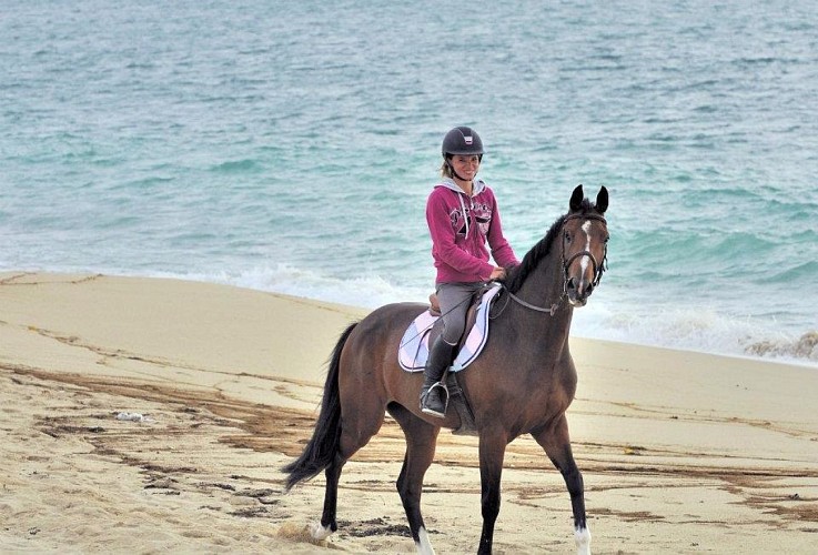 CENTRE EQUESTRE PONEY-CLUB DE PORNIC