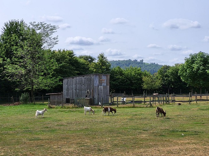 PARC SENSORIEL À HAMBERS
