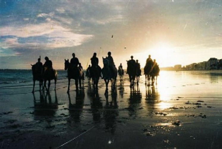 CENTRE ÉQUESTRE MANÈGE DES PLATANES