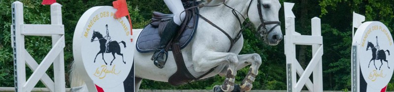 CENTRE ÉQUESTRE MANÈGE DES PLATANES