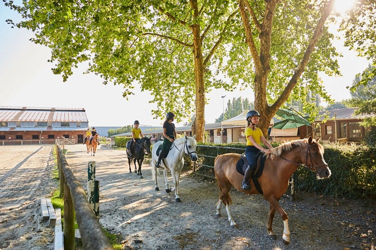 Centre équestre Manège des Platanes