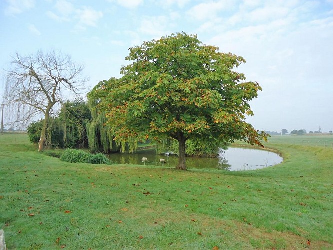 LA GRANDE PERRINE, JUSQU'À 4 PERSONNES