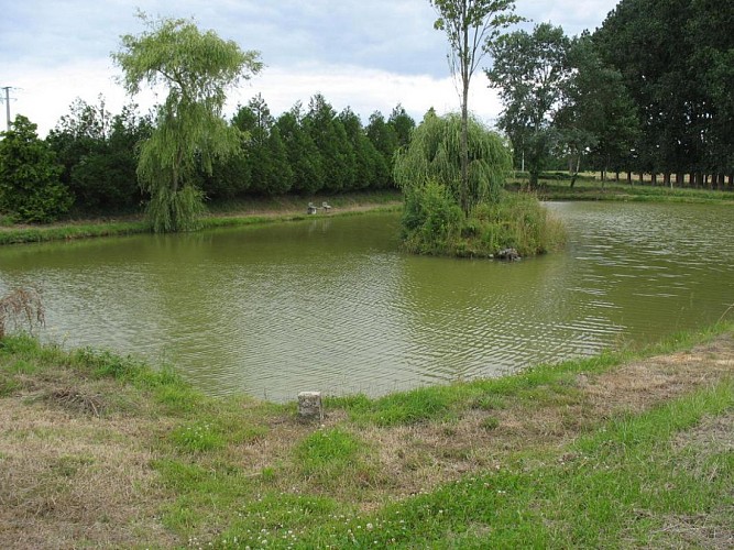 LA GRANDE PERRINE, JUSQU'À 4 PERSONNES