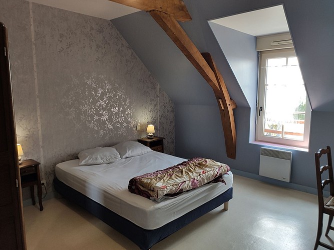 NEUF SAUVELOUP 2 PROFESSIONNELS