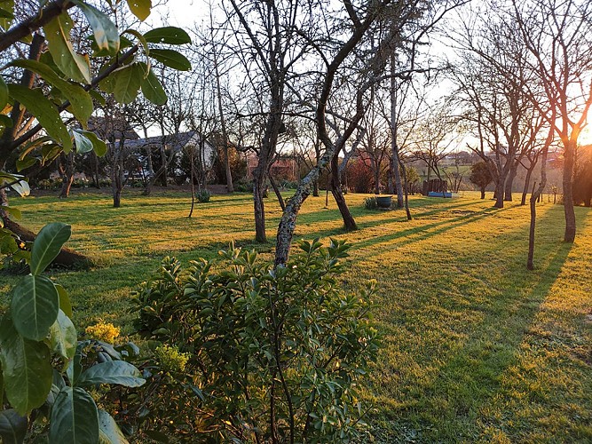 NEUF SAUVELOUP 2 PROFESSIONNELS